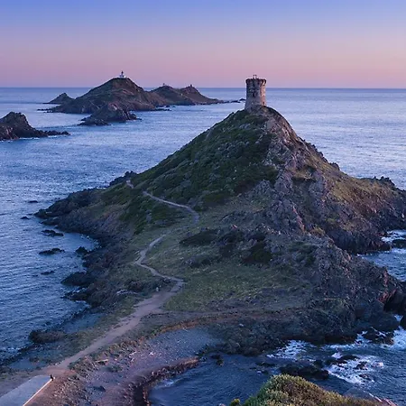 T2 Avec Piscine Chauffee - Vue Exceptionnelle- Les Calanques Routes Des Sanguinaires- Parking Inclus & Wifi