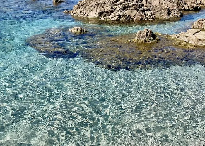T2 Avec Piscine Chauffée - Vue Exceptionnelle- Les Calanques Routes Des Sanguinaires- Parking Inclus&wifi *