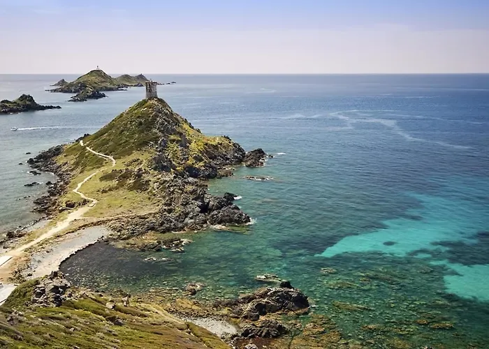 Apartment L'azur Des Calanques - T2 Avec Piscine Chauffee & Vue Exceptionnelle- Parking & Wifi Ajaccio (Corsica)